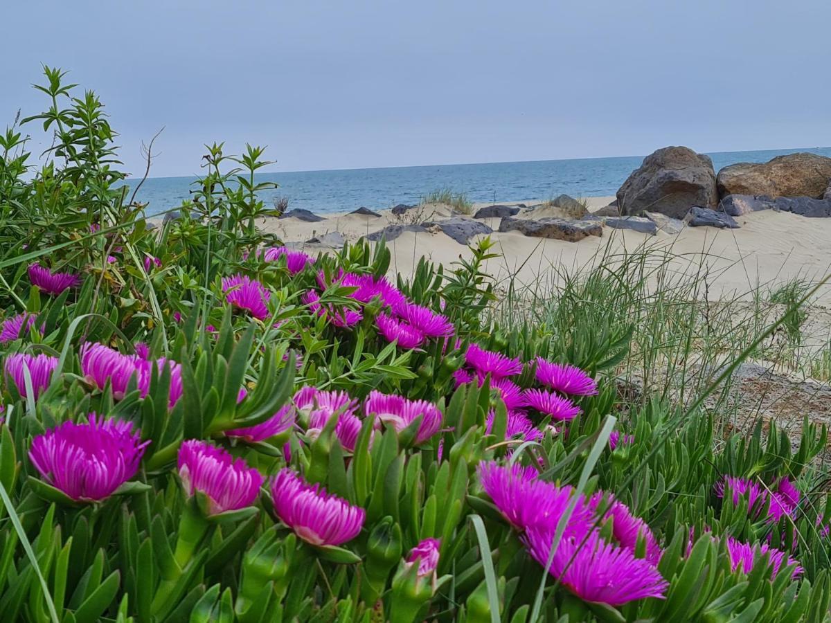 Camping Les Sables D'Or Cap D'Agde Le Grau-dʼAgde エクステリア 写真